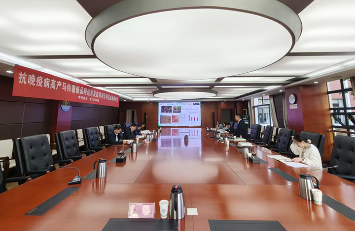 抗晚疫病高产马铃薯新品种选育及应用 anli.jpg